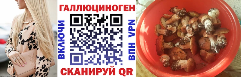OMG зеркало  Игарка  Галлюциногенные грибы ЛСД 