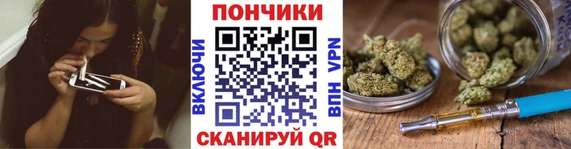 Бошки Шишки ГИДРОПОН  Игарка 